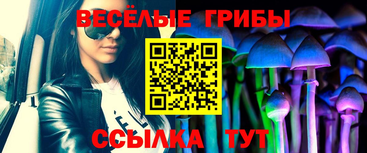 Псилоцибиновые грибы мицелий Углич