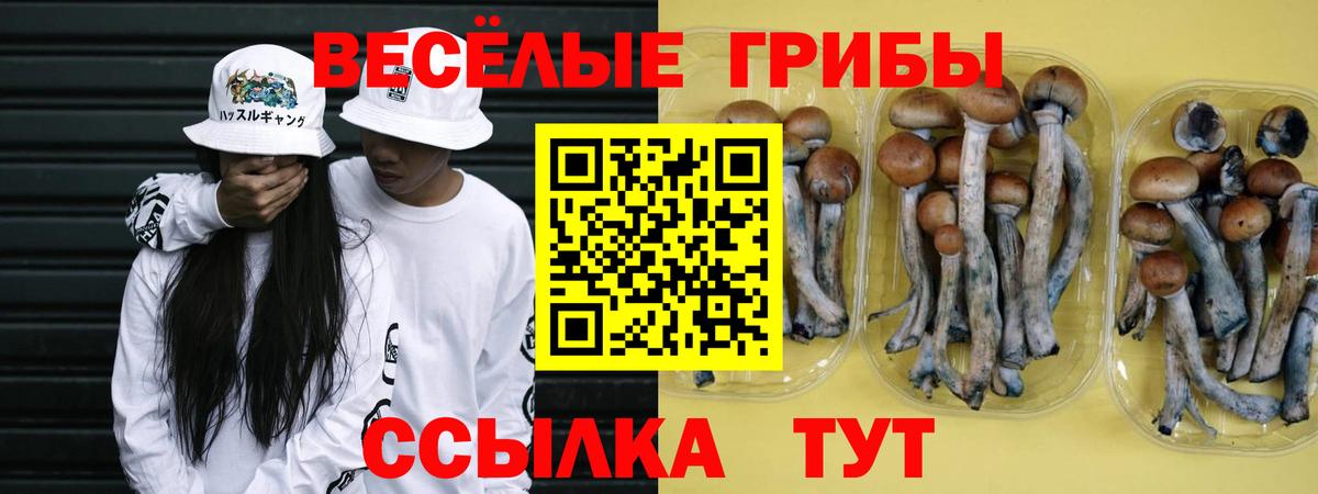 даркнет сайт  Вход с VPN  Галлюциногенные грибы GOLDEN TEACHER  Углич  Псилоцибиновые грибы Magic Shrooms 